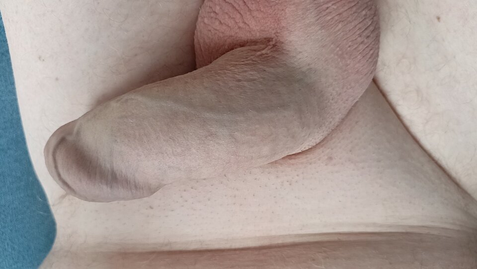 IMG_20230524_163536_01.jpg - Bisexsex