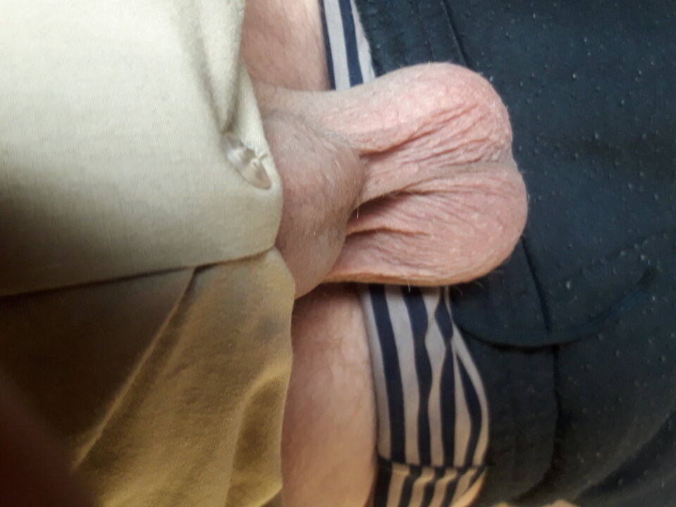 20230521_171352.jpg - brus13