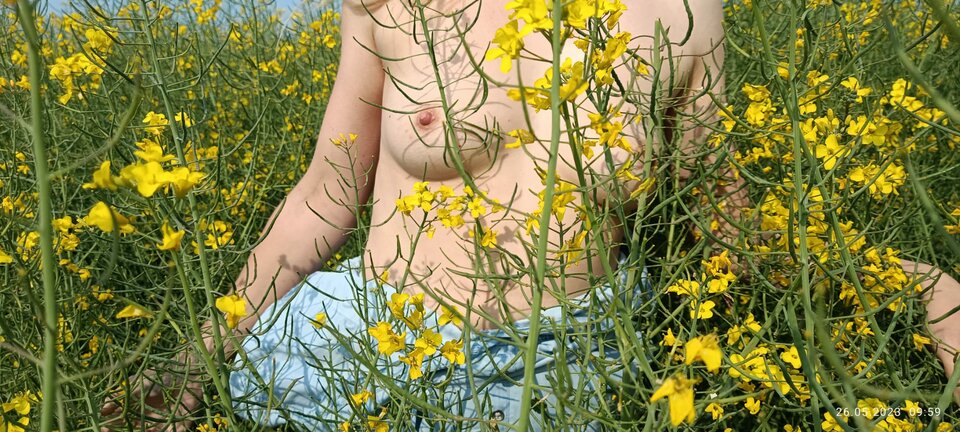 Rzepak 2023 - AnKar2022