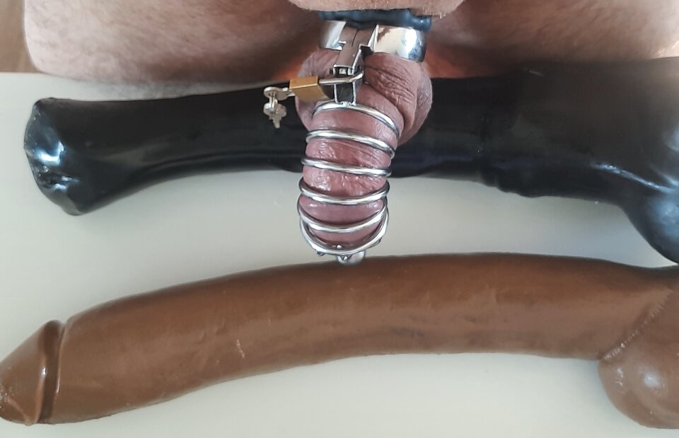 20230526_084701.jpg - wlochaty81