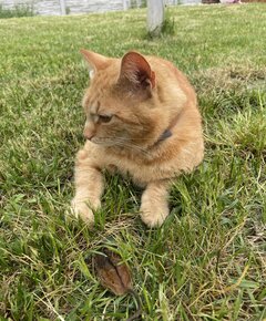 IMG_0984.jpeg
