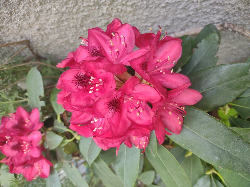 IMG_20230526_142130480.jpg - Bogo1986