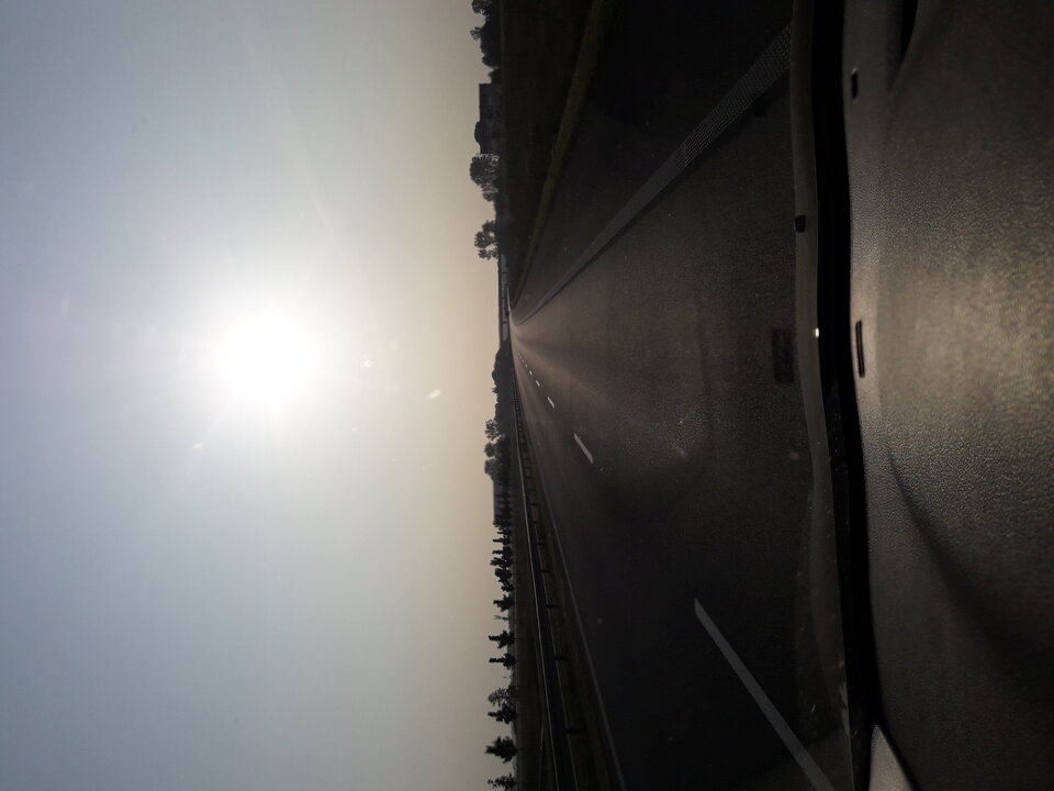 20230527_064243.jpg - niesmialy6969