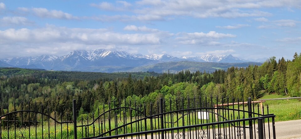 Poranny widok - Naturysci123