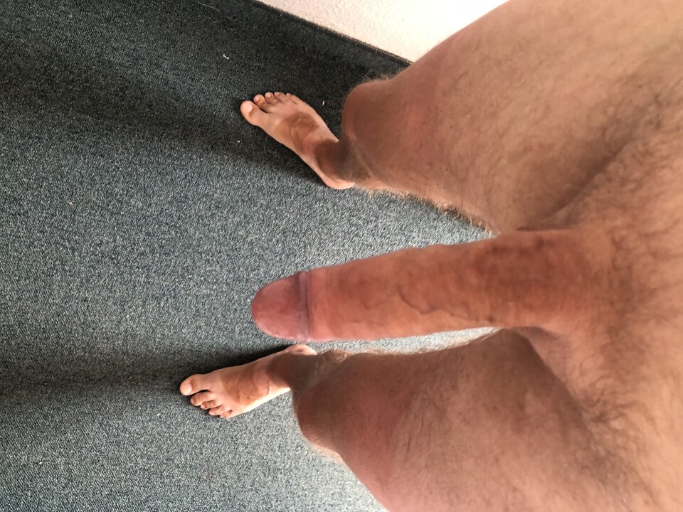 IMG_9891.jpeg - Setubal