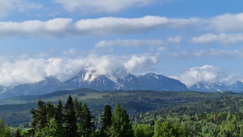 20230527_074850.jpg - Naturysci123