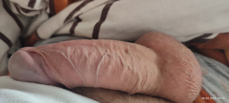 1685261622477..jpg - Karolus3210