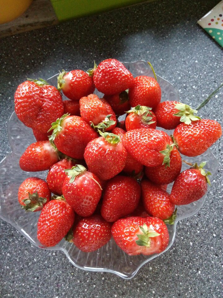 Status: orgiazmicznie🍓🍓🍓🍓🍓🍓🍓 - SexFunMind