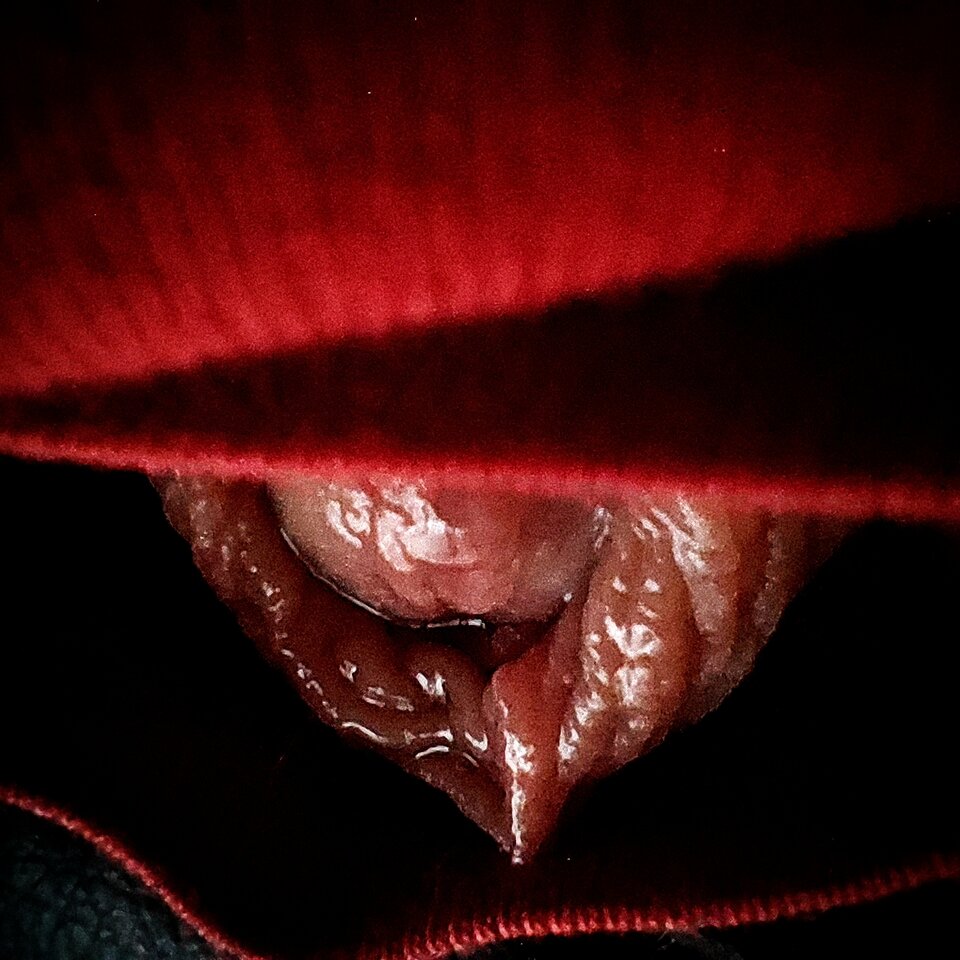 Wet 🍆 - C0nan