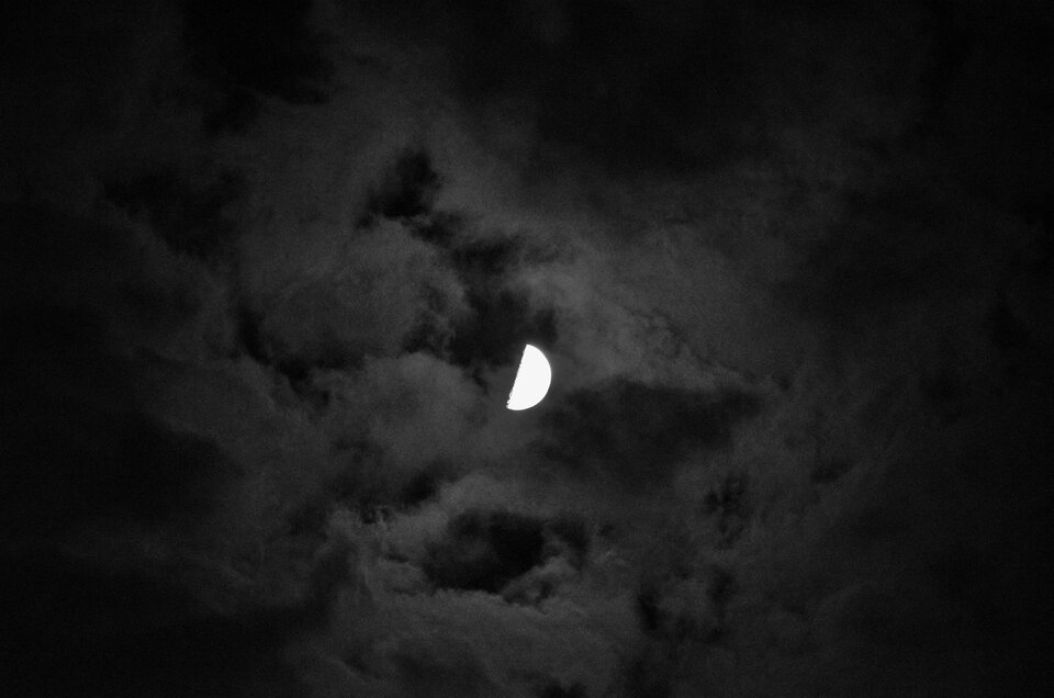 DSC_0445.jpg - Barraquito_83