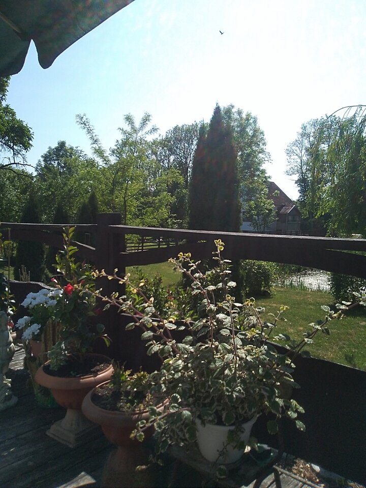 IMG_20230528_145019.jpg - Krzysztof061985