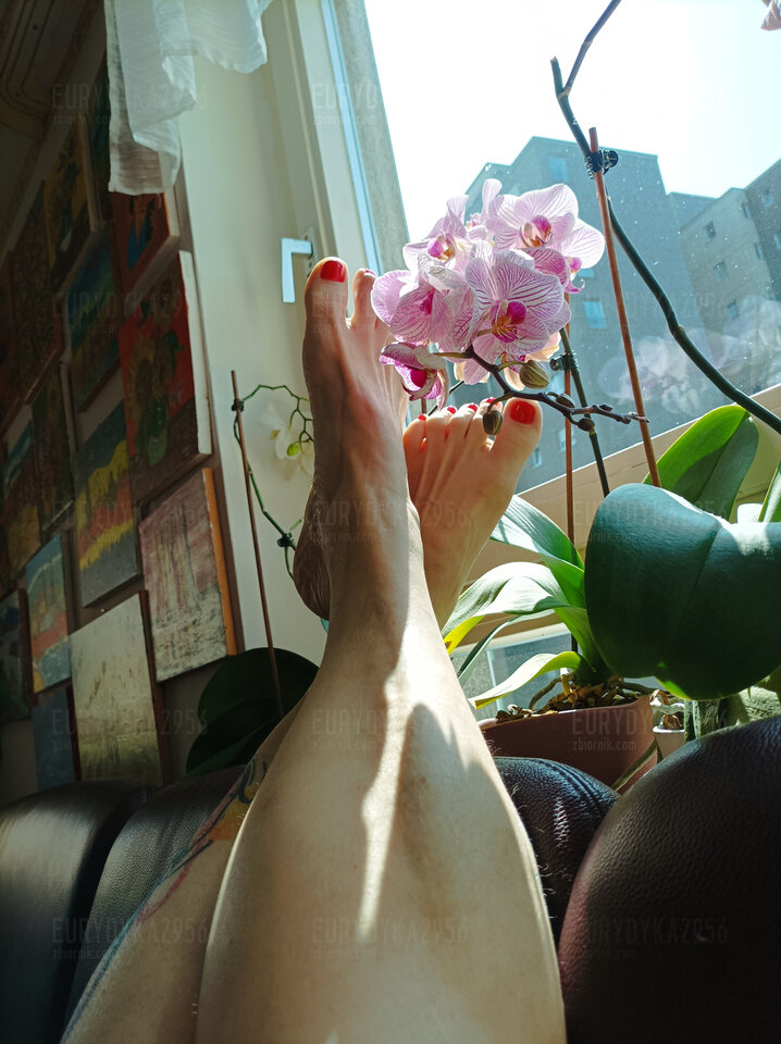 👣👣 - Eurydyka2956