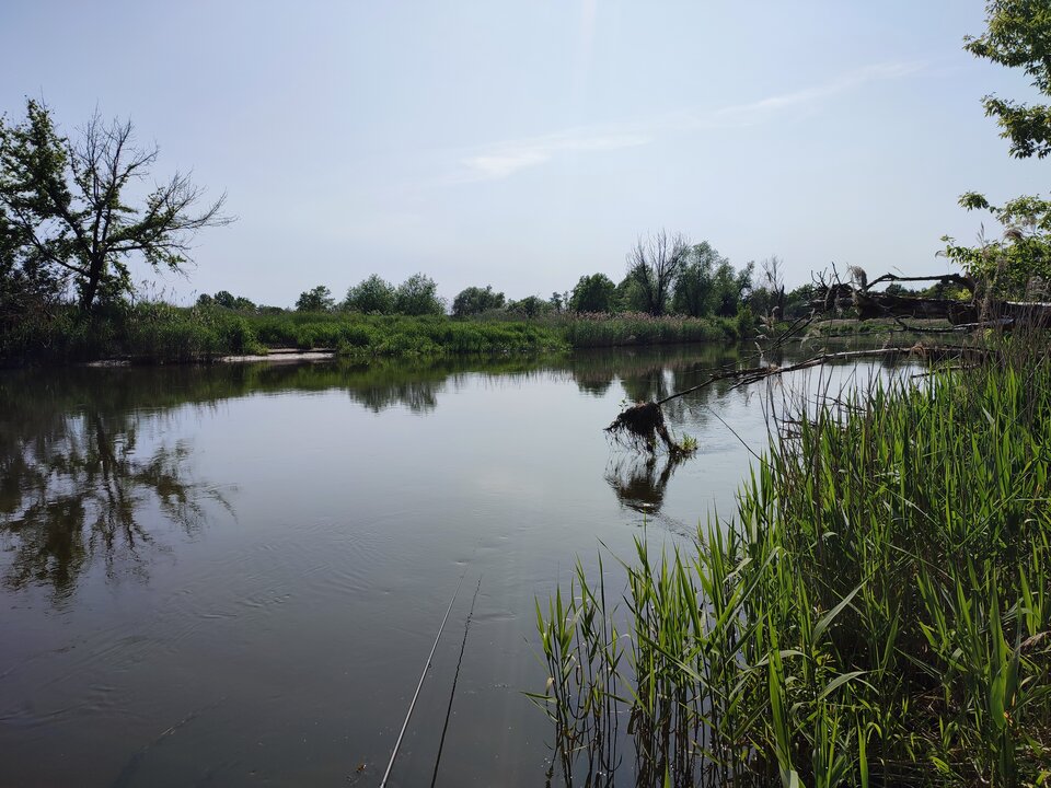 IMG_20230528_154119.jpg - 78nieznajomy