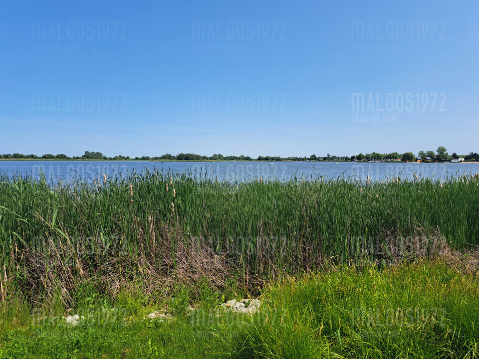 20230528_145220.jpg - malgos1972