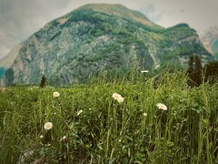 IMG_8448.jpeg