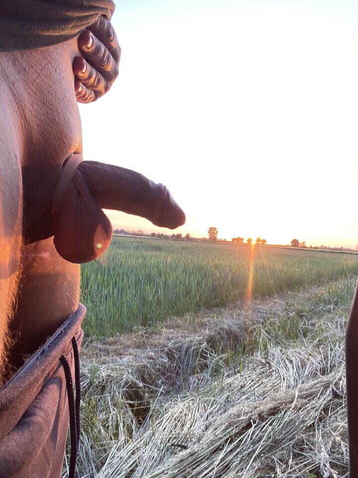 image.jpg - Facet12387