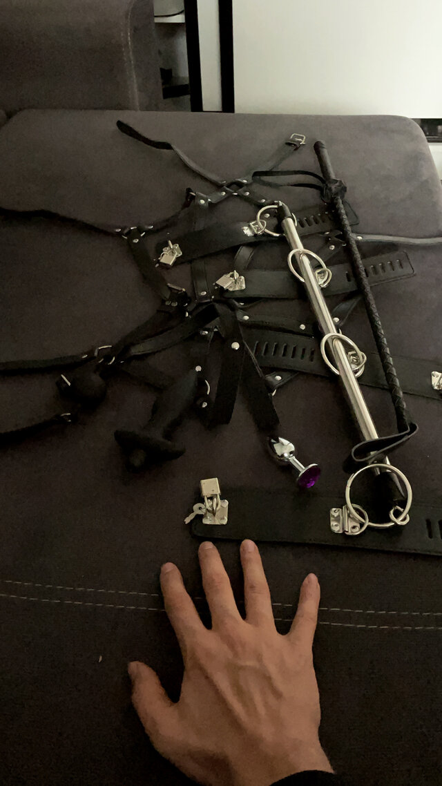 xavo19