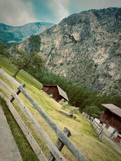 IMG_8447.jpeg