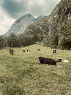 IMG_8442.jpeg