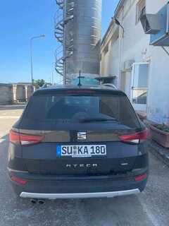 Szukam suką do mojej piwnicy.