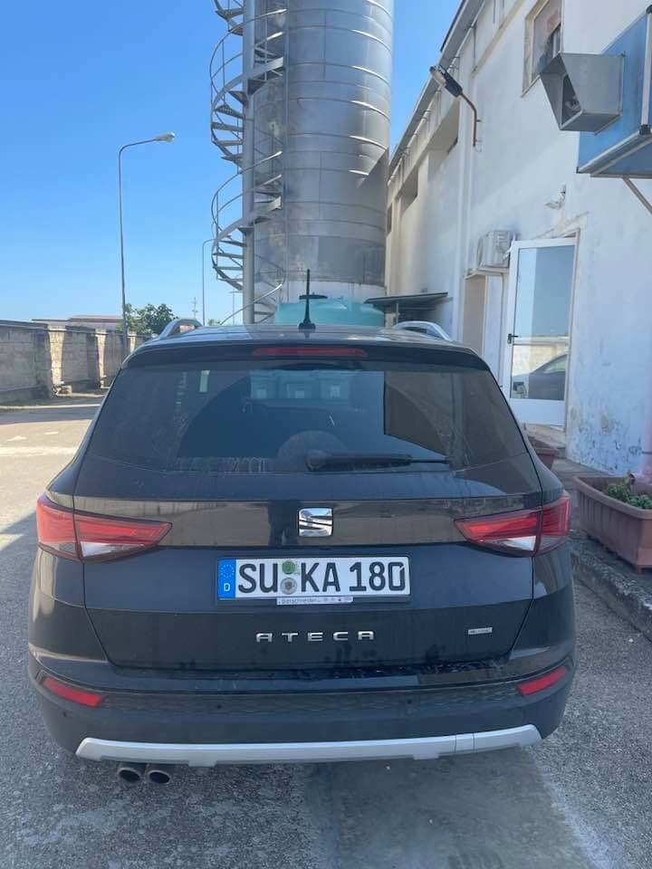 Szukam suką do mojej piwnicy. - wroclaw1n0