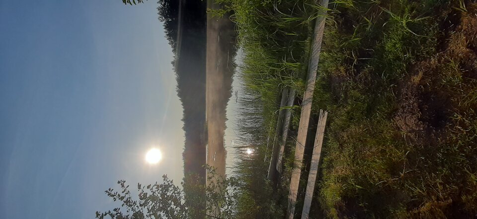 20230528_061808.jpg - scootergda