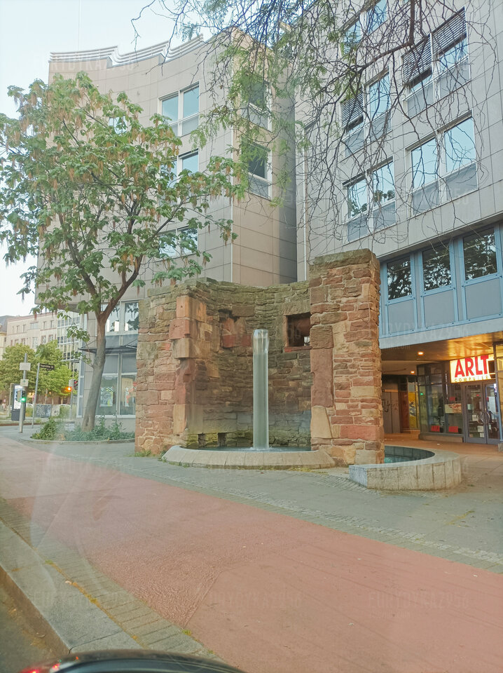 IMG_20230529_153438.jpg - Eurydyka2956