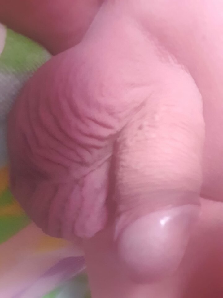 WhatsApp Image 2023-05-28 at 18.31.22.jpeg - andi7002