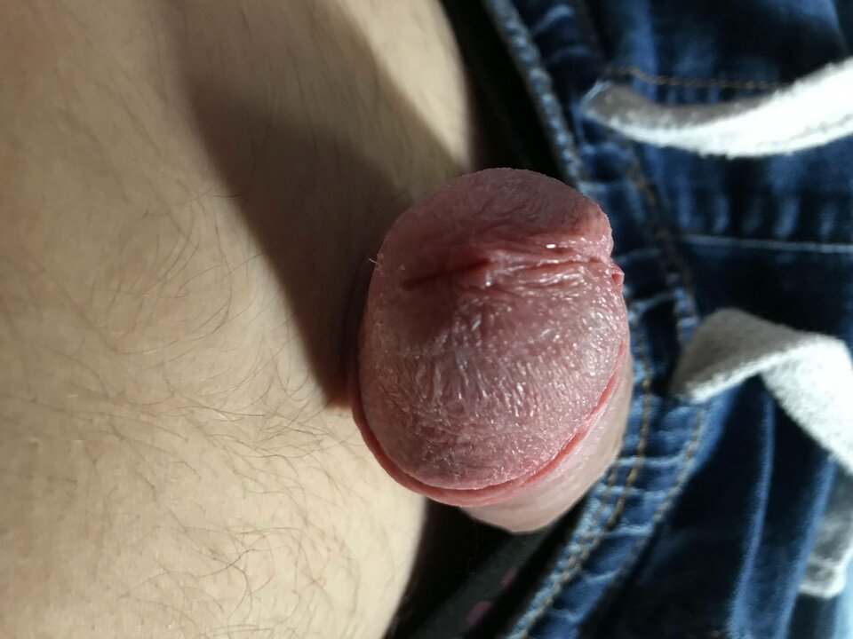 IMG_7779.jpg - Alwaro1283