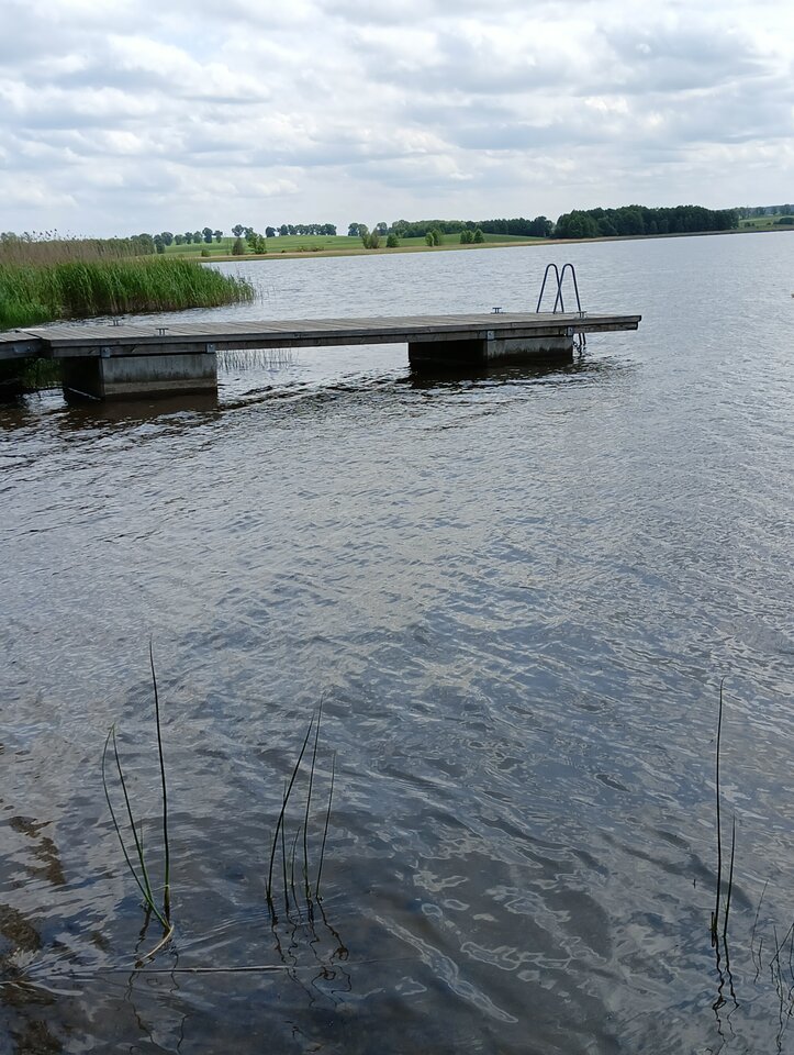 IMG20230529123501.jpg - skorpion2020