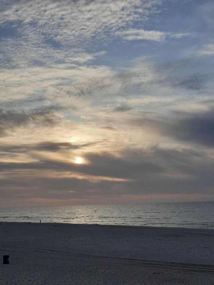 20230529_201439.jpg - XTOMx