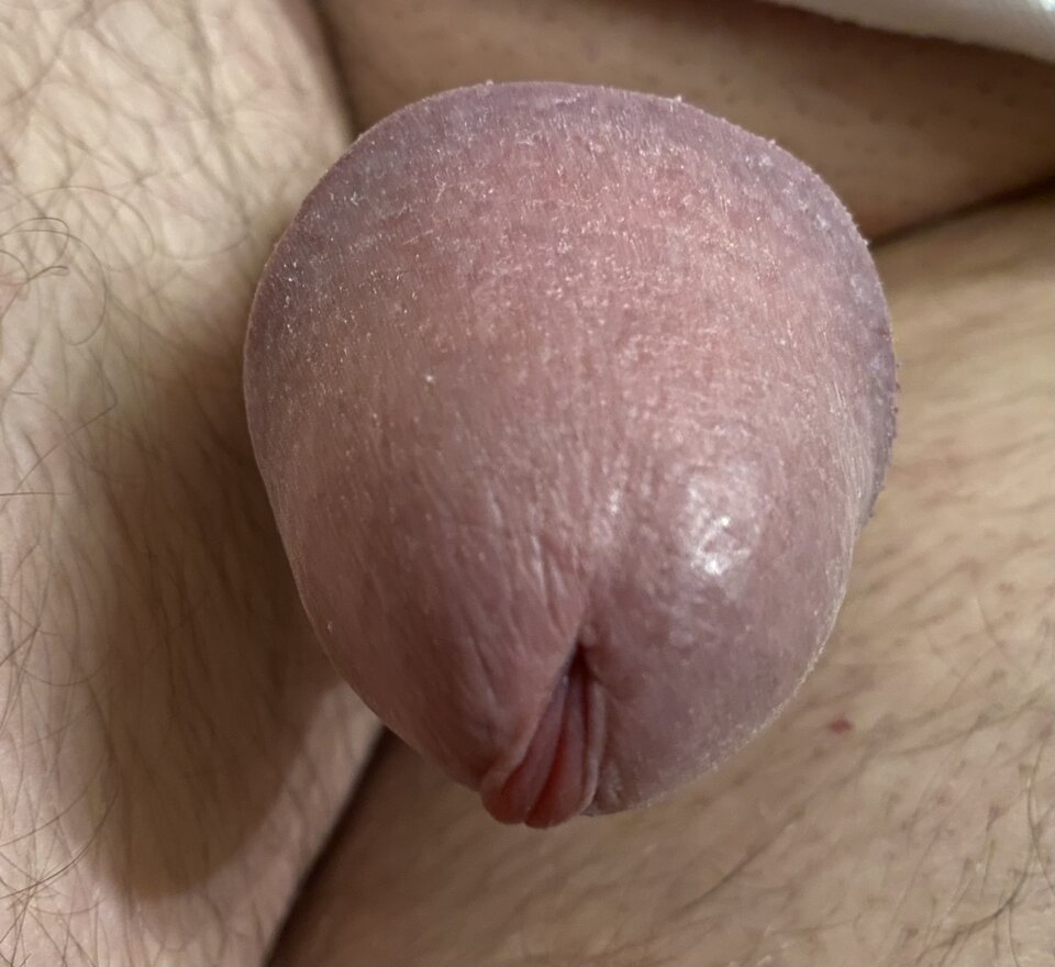 IMG_0127.jpeg - Struna0879