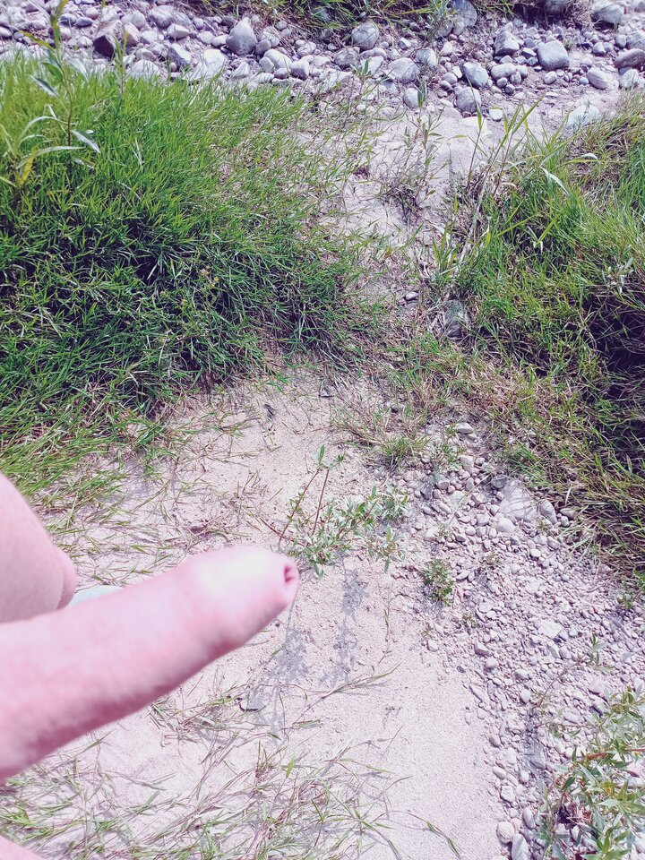 IMG_20230530_161132_332.jpg - amfeti35