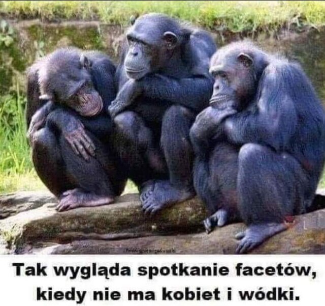 Screenshot_20230517-124215_Facebook.jpg - As_a