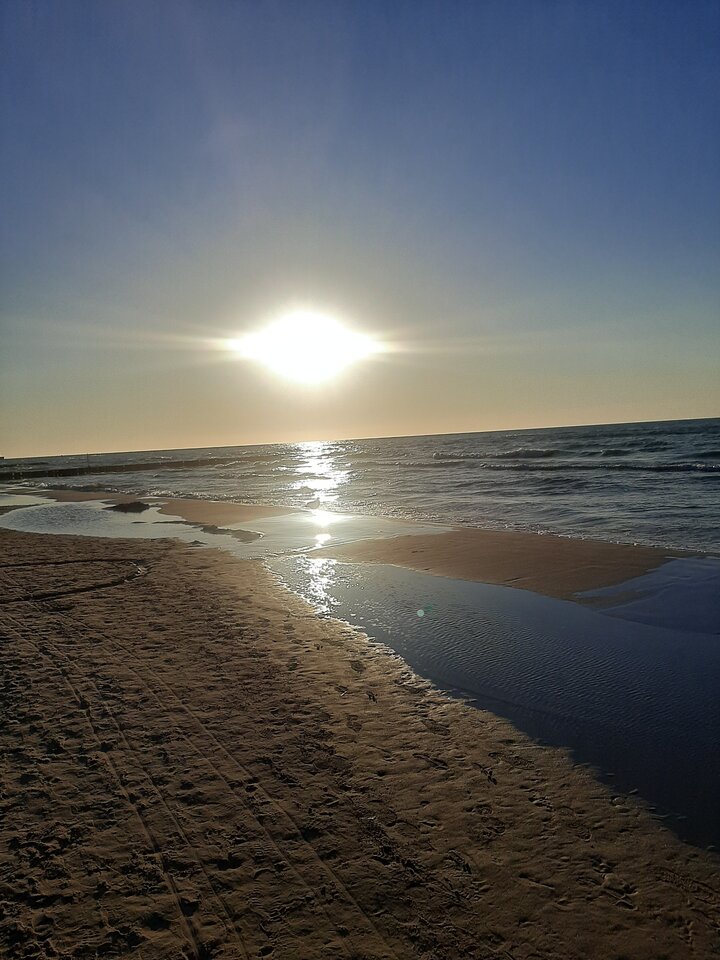 20230530_200651.jpg - XTOMx