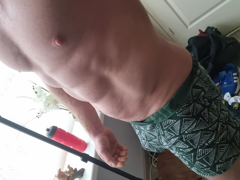 20230305_121327.jpg - WolnaChataBreda