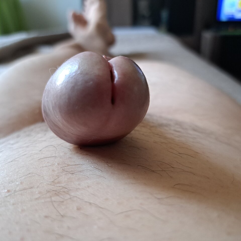 16855193294756205628237073564618.jpg - naturysta1976