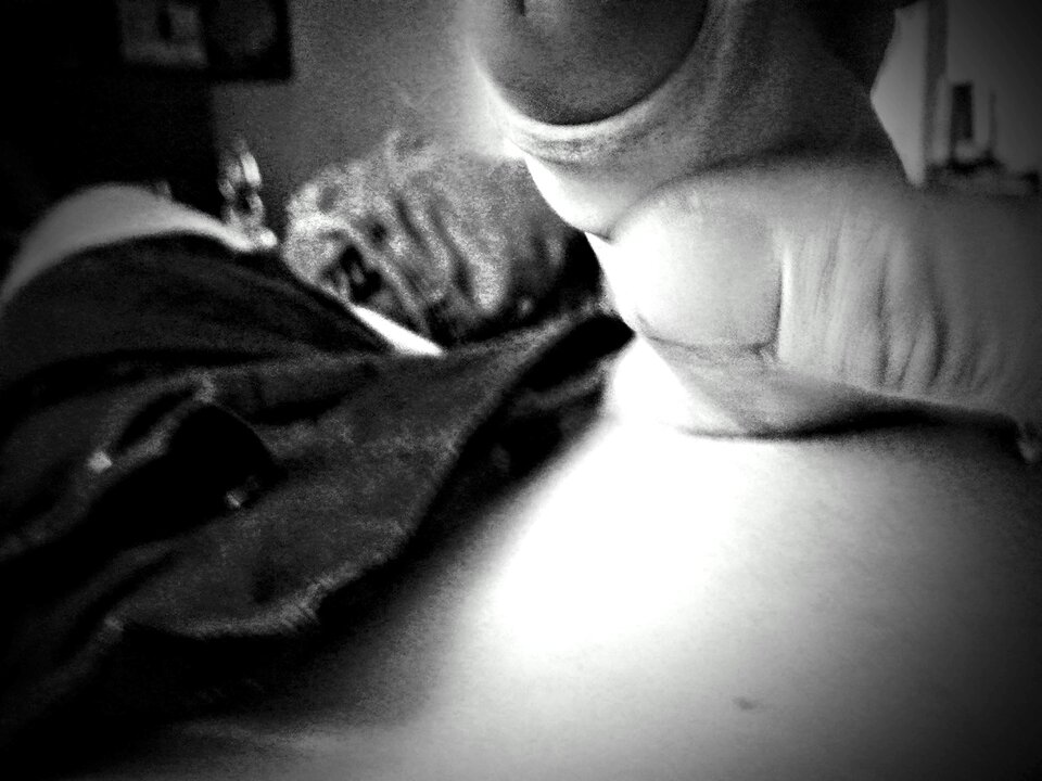 83AD7360-F5B1-4A6C-AA15-1E0E68B39C19.jpeg - DonKichot82