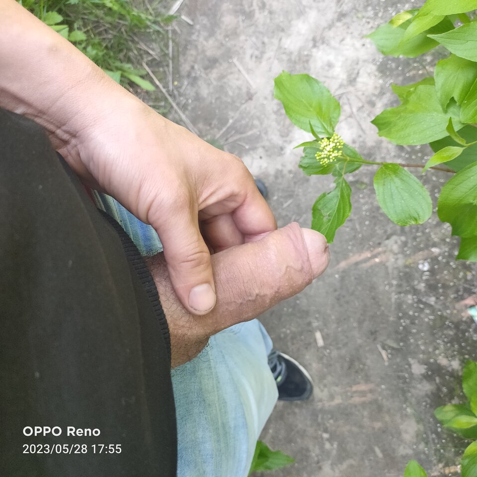 IMG20230528175532.jpg - alter_lu