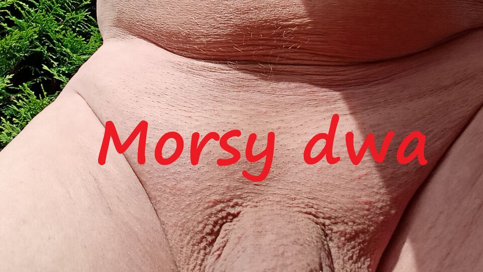Dzień bez ...... - Morsy_dwa