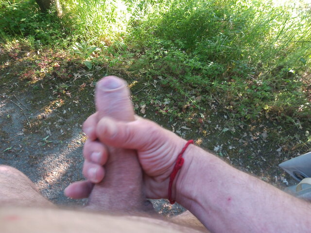sharki123