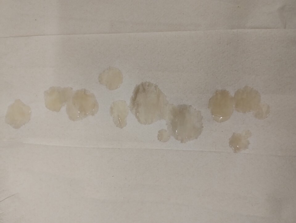 IMG_20230528_232109207.jpg - dawcarozkoszy84sprawdzto