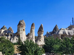 IMG-20230531-WA0003.jpg