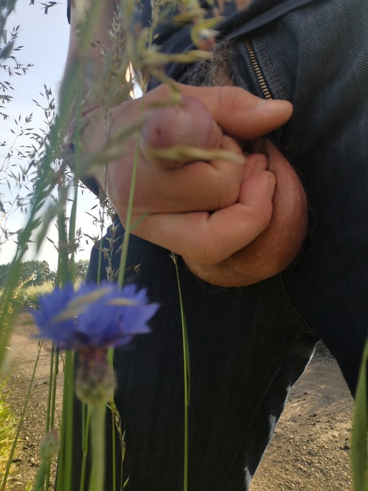 1685595866056.jpg - Mabakol