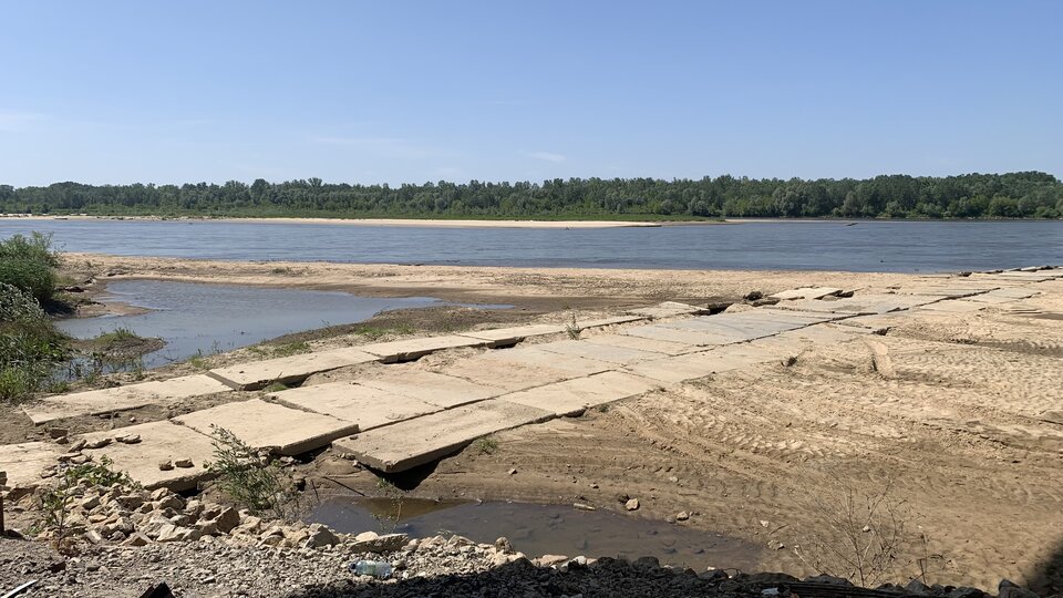 IMG_4998.jpeg - moby_dick