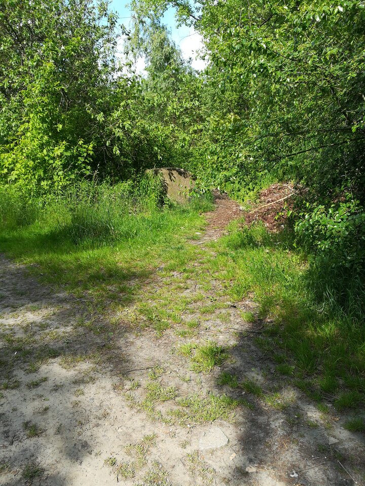 16856284681131794853325.jpg - Swietlik74