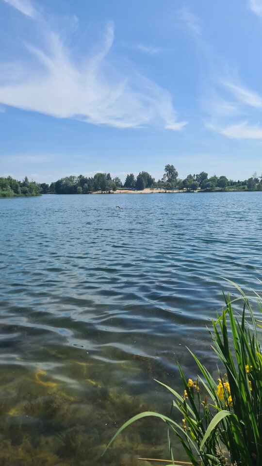 20230601_152216.jpg - Pareczka9795