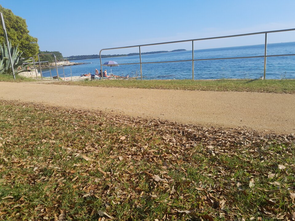 20230601_182456.jpg - kuttelikker