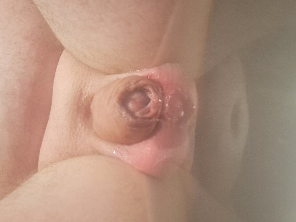 16856478475778922178865466862985.jpg - misio69697