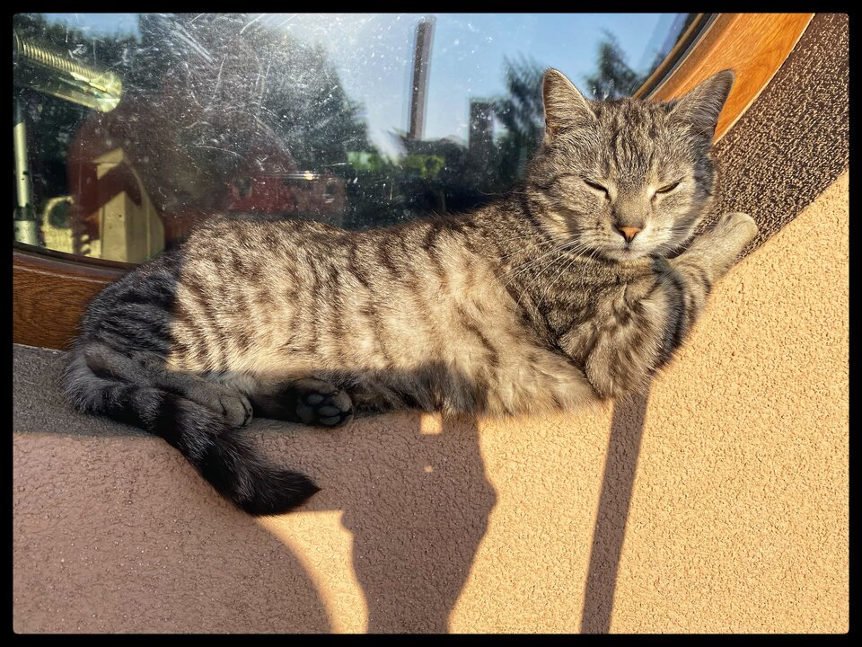 IMG_1165.jpeg - serialowapara19782